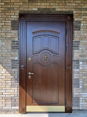 Дверь с кнокером и отбойником
