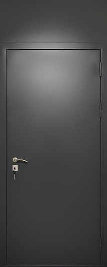Квартирная входная с верхней глухой вставкой и отделкой порошковым окрашиванием